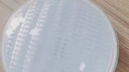 IP68 35watt 12V LED PAR56 Swimming Pool Lamp Underwater Light 