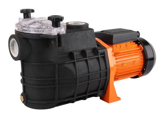 2024 Brand New Arrival Equipment Light Swimming Pool Pump with Factory Price 