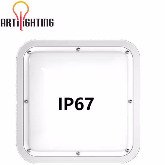60W IP67 Waterproof Light LED Outdoor Lighting Used for Pool Around House